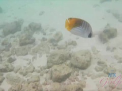 Plage, Doigter, Petite amie, Orgasme, Public, Rasée, Nénés, Mouillée