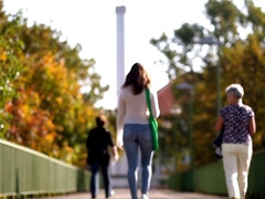 Brown haired girl flashing tits in public