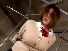 Kont, Bondage discipline sadomasochisme, Pijpbeurt, Classisch, Diep in de keel, Japaans, Natuurlijk, Orgasme