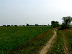 18 jaar, Schattig, Gezichtzitten, Dominante vrouw, Handbeurt, Indisch, Tepels, Zoon