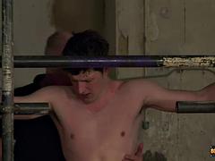 Britannique, Mignonne, Homosexuelle