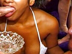 Amateur, Gros seins, Sucer une bite, Bukkaké, Tir de sperme, Noir ébène, Partouze, Suçant