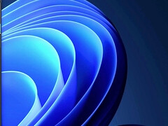 美女, デカパイ, ビッチ, 巨乳な, ラティーナ, ヤリマン, オッパイの, ヤリマンの