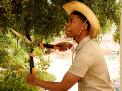 デカ尻, ブロンド, 異人種間