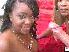 Gorda, Compilación, Ébano, Latina, Trio