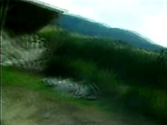 Rubia, Latina, Madres para coger, Clasico