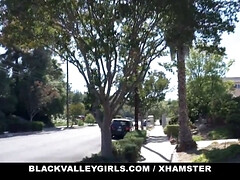 Zwart, Sperma, Hondjeshouding, Zwart, Hd, Interraciaal, Gezichtspunt, Kut duiken