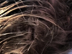 Amateur, Sucer une bite, Hd, Mature, De plein air, Pov