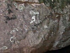 Красивые, Геи, Секс без цензуры, Латиноамериканки, Мастурбация, На природе