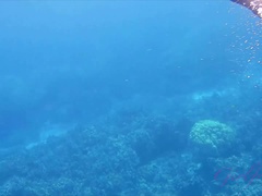 Leie, Strand, Flashen, Fussjob, Handjob, Orgasmus, Pov, Muschi