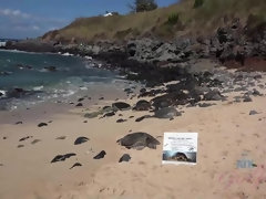 素人, 浴室, ビキニ, 茶髪の, 彼女, ガリガリ, 喫煙, 靴下