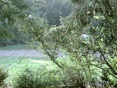 Sperma shot, Frans, Orgie, Oud