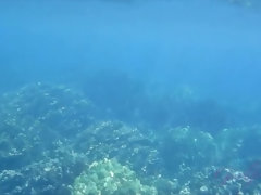 Strand, Bikini, Braunhaarige, Fingern, Orgasmus, Im freien, Pov, Titten