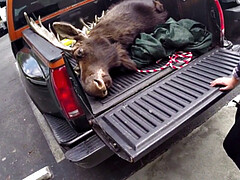 デカパイ, フェラチオ, 茶髪の, 手コキする, ハメ撮り, オマンコ, タトゥー, 三人