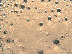 Girl Spitting and Smoking