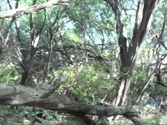 素人, ビーチ, ブロンド, 彼女, ヌード, ピアス, オマンコ, 剃毛