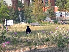 Nana, Blonde, Masturbation, Orgasme, De plein air, Chatte, Rasée, Sous la jupe