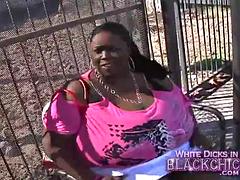 Huge tits: Big Tits, Blowjob  Amateur Porn