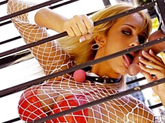 Anaal, Grote kont, Grote lul, Grote mammen, Blond, Pijpbeurt, Hondjeshouding, Moeder die ik wil neuken