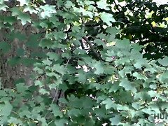 Rubia, Mamada, Cornudo, Europeo, Hd, Dinero, Pov, Realidad