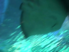 ビキニ, ブロンド, 彼女, 眼鏡, ハメ撮り, オマンコ, タトゥー, オッパイの