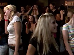 Одетые девушки голые парни, Группа