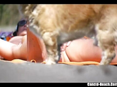 Plage, Gros cul, Gros seins, Femelle, Mature, Mère que j'aimerais baiser, Maman, Voyeur