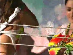 Abuelita, Clasico
