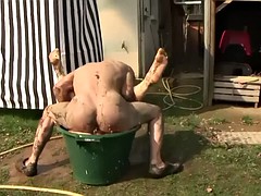 In den arsch, Hardcore, Milf, Im freien