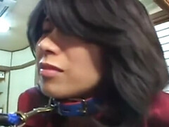 Asiático, Sadomasoquismo, Sexo duro, Japonés