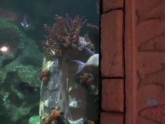 Ванна, Подружка, Трусики, От первого лица, На публике, Бритые, Носки, Сиськи