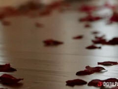 Slaapkamer, Grote kont, Grote mammen, Stel, Lul, Sperma in gezicht, Kut duiken, Geschoren