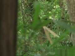 Amateur, Anal, Asiático, Fetiche, Japonés, Pov