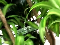 アフリカ人, ぽっちゃり, デカ尻, フェラチオ, 古典, 黒人, Hd, 乳首