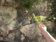 Sucer une bite, Brunette brune, Éjaculer dans la bouche, Huilée, Orgasme, De plein air, Pov, Nénés
