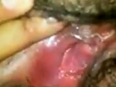 Amateur, Penetracion con dedos, Abierta, Peludo, Maduro