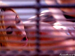 Dildo, Grufti, Küssen, Natürlichen titten, Im freien, Tätowierung, Tanga, Spielzeuge