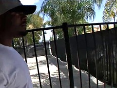 Большой член, Черные, Черненькие, Сиськи