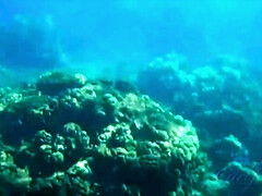 Amateur, Morena, Coche, Hd, Afeitado, Tatuaje, Tetas