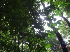 Amateur, Corridas faciales, Penetracion con dedos, Pajear, Al aire libre, Público, Coño, Mojado