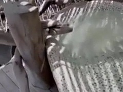 Grosse bite, Noire, Éjaculation interne, Noir ébène, Hard, Fille latino, Chevaucher, Adolescente