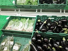 Amateur, Gros seins, Exhib, Hd, Masturbation, Public, Chatte, Vibromasseur