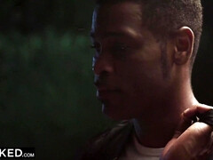 Kont naar mond, Grote mammen, Hondjeshouding, Sperma in gezicht, Hardcore, Interraciaal, Rijden, Trio