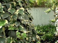 フェラチオ, 茶髪の, カップル, カワイイ, 日本人, 天然, 自然山雀, 生徒