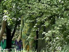 18 ans, Fétiche, Hd, Seins naturels, Public, Allumeuse, Adolescente, Nénés