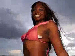 Amateur, Negro, Ébano, Realidad