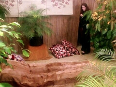 Morena, Loco, Linda, Erótico, Hd, Desnudo, Pequeña, Coño