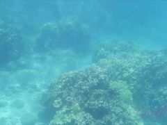 Amateur, Exhib, Petite amie, Branlette thaïlandaise, Orgasme, Pov, Public, Mouillée