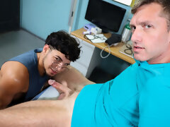 Homo