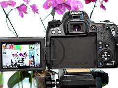 Amateur, Europeo, Sexo duro, Italiano, Lencería, Maestra, Adolescente